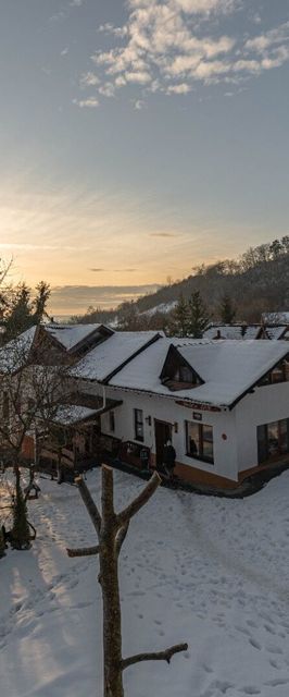 Casa de oaspeți Hagyó Petrilaca de Mureș