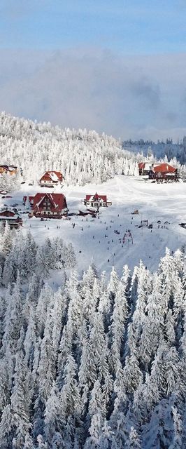 Casa de oaspeți Pall Izvoare