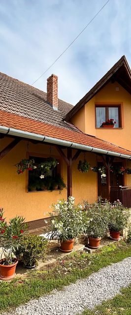 Casa de oaspeți Gergely Zetea