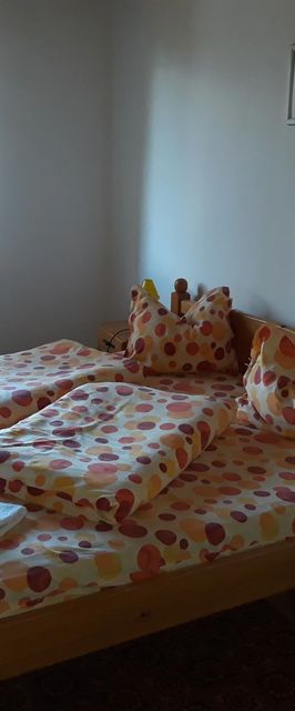 Pensiunea Ovi-Tours Bran