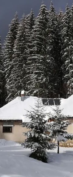 Cabana Pietricica Dâmbovicioara