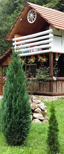Cabana Rustică Apuseni Podele