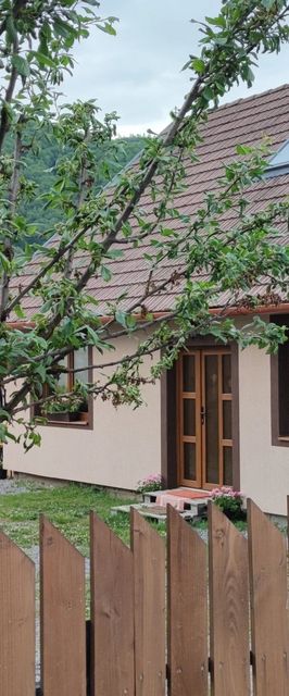 Casa de Oaspeți Gyümölcsös Sub Cetate