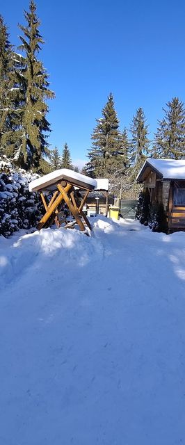 Casa de oaspeți Pinul Argintiu Borzont