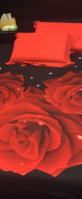 Garsoniera Dali-Nottara București