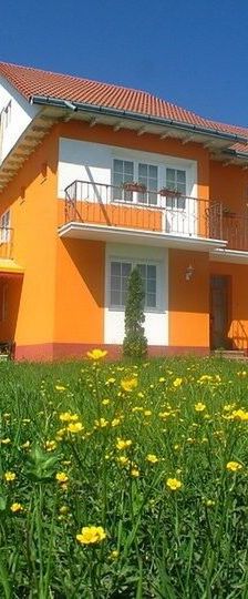 Vila Vlad Târgu Neamț