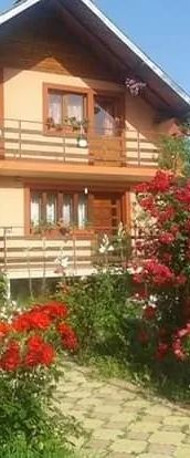 Pensiunea Nopți de Vara Căpățânenii Pământeni