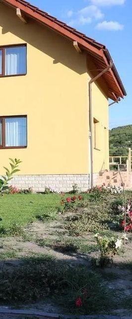 Pensiunea Diana Bârlad