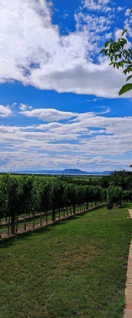 A Zöld Ajtós Ház Balatonlelle