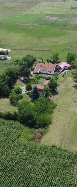 Turul Tanya Mórahalom