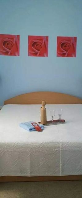 Pensiunea Coca Băile Felix