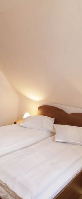 Vila Floare de Colț Izvoru Mureșului