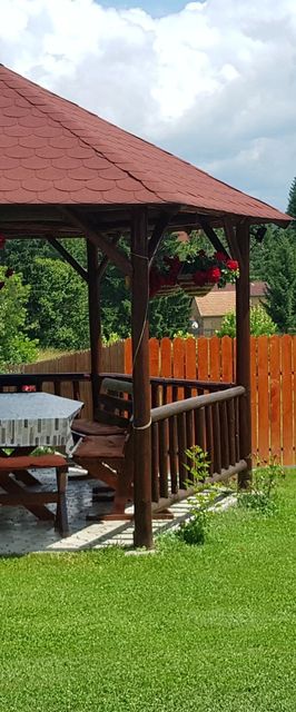 Vila Floare de Colț Izvoru Mureșului