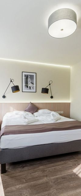 Amstel Hattyú Panzió*** Győr