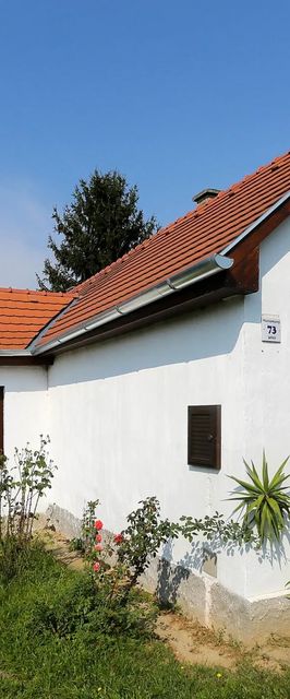 Falusi Vendégház 73 Alsóbogát