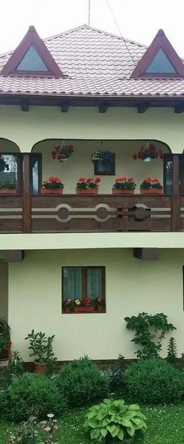 Miruna Mănăstirea Humorului