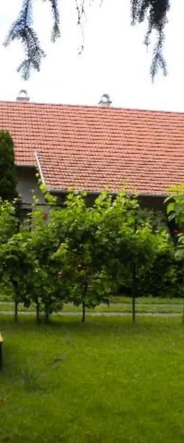 Rózsakert Apartman Poroszló