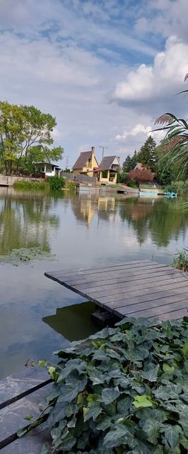 Rana Verde Zöld Béka Vendégház Békésszentandrás
