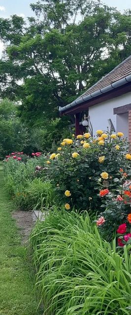 Levendula Vendégház Poroszló