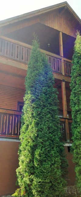 Casa de oaspeți Demény Sub Cetate