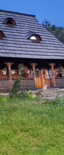 Pensiunea La Gorgan Vadu Izei