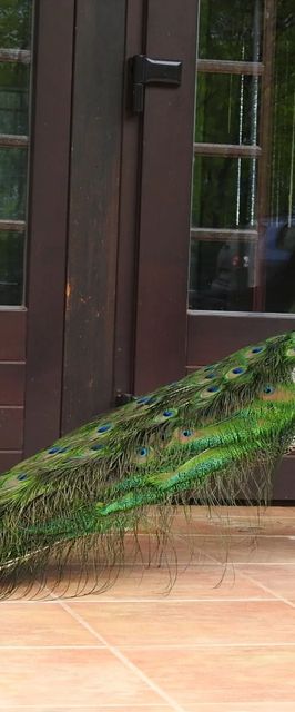 Csanádi Szőlőbirtok Vendégház Császártöltés