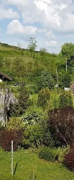 ȘTEFAN le Grand Valea Budului