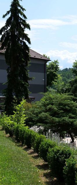 Penzion Harmony Javorník Čtyřkoly