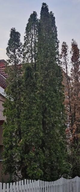 Léna Apartman Balatonlelle