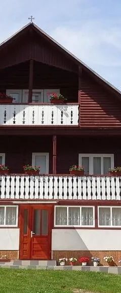 Pensiunea Daiana Albac