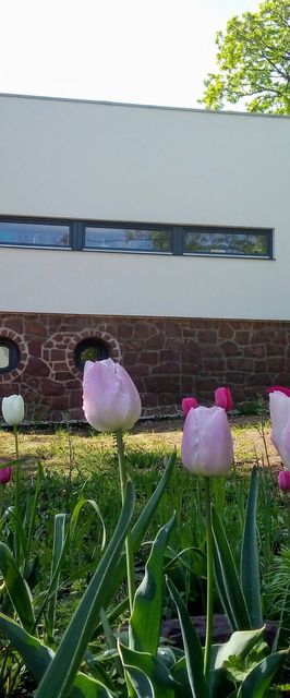 Káptalanfüred Apartman Balatonalmádi