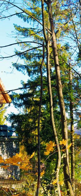 Lili Vendégház Bükkszentkereszt