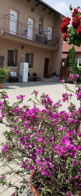 Gyöngy-Virág Vendégház Szeged