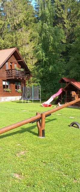 Casa de oaspeți Henrietta Borzont