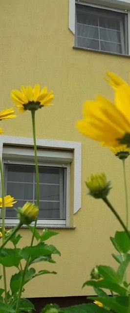 Napocska Vendégház Harkány