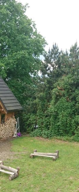 Domek Słoneczna Czechówka