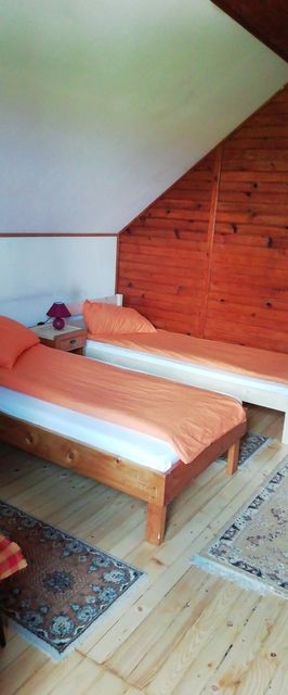 Apartament Dodo Săcele