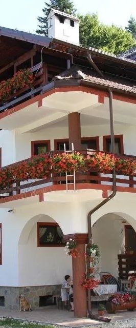 Casa Elena Pârâul Rece