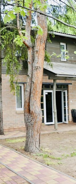 Kunfi Apartmanház Siófok