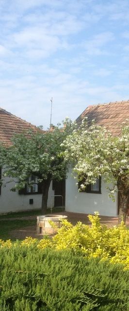 Telihold Vendégház Nagybörzsöny