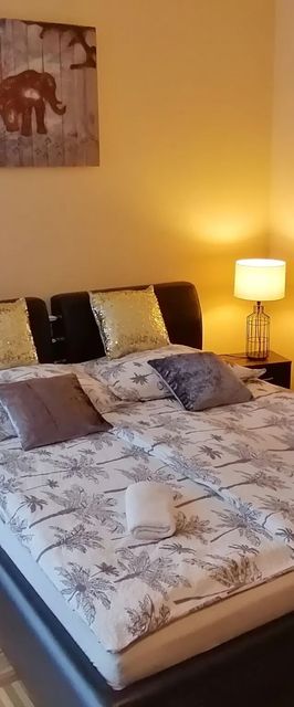 Zöld Béka Hőforrás Apartman Hajdúszoboszló