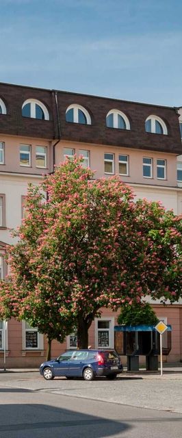 Školní hotel Junior Poděbrady