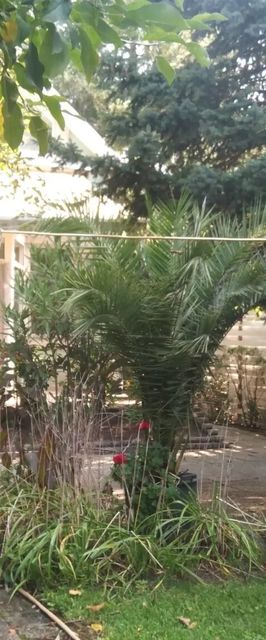 Subasa Green Garden Vendéház Szeged 