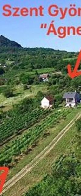 Ágnes Almái Présház Kisapáti