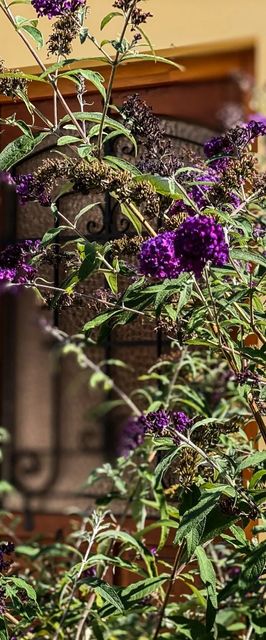 Pataki Porta Apartmanház Balatonederics