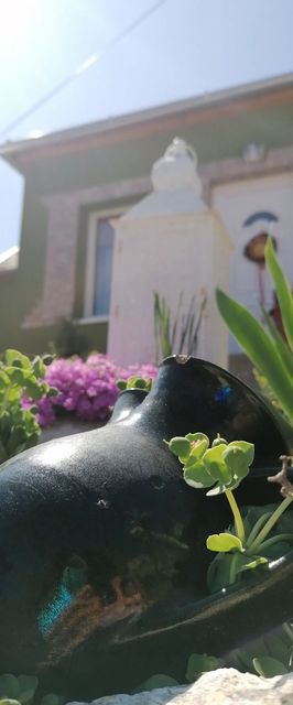 Levendula Vendégház Szászvár