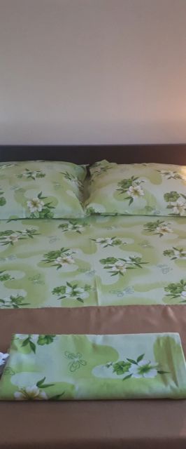 Casa Diana Băile Govora