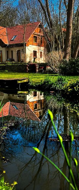 Erdőszéli Vendégház Pilisszentlászló