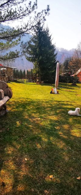 Cabana Valea Rea Boga