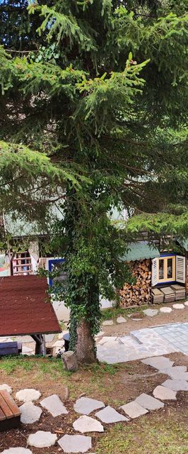 Cabana Farmec Ciubar Sovata